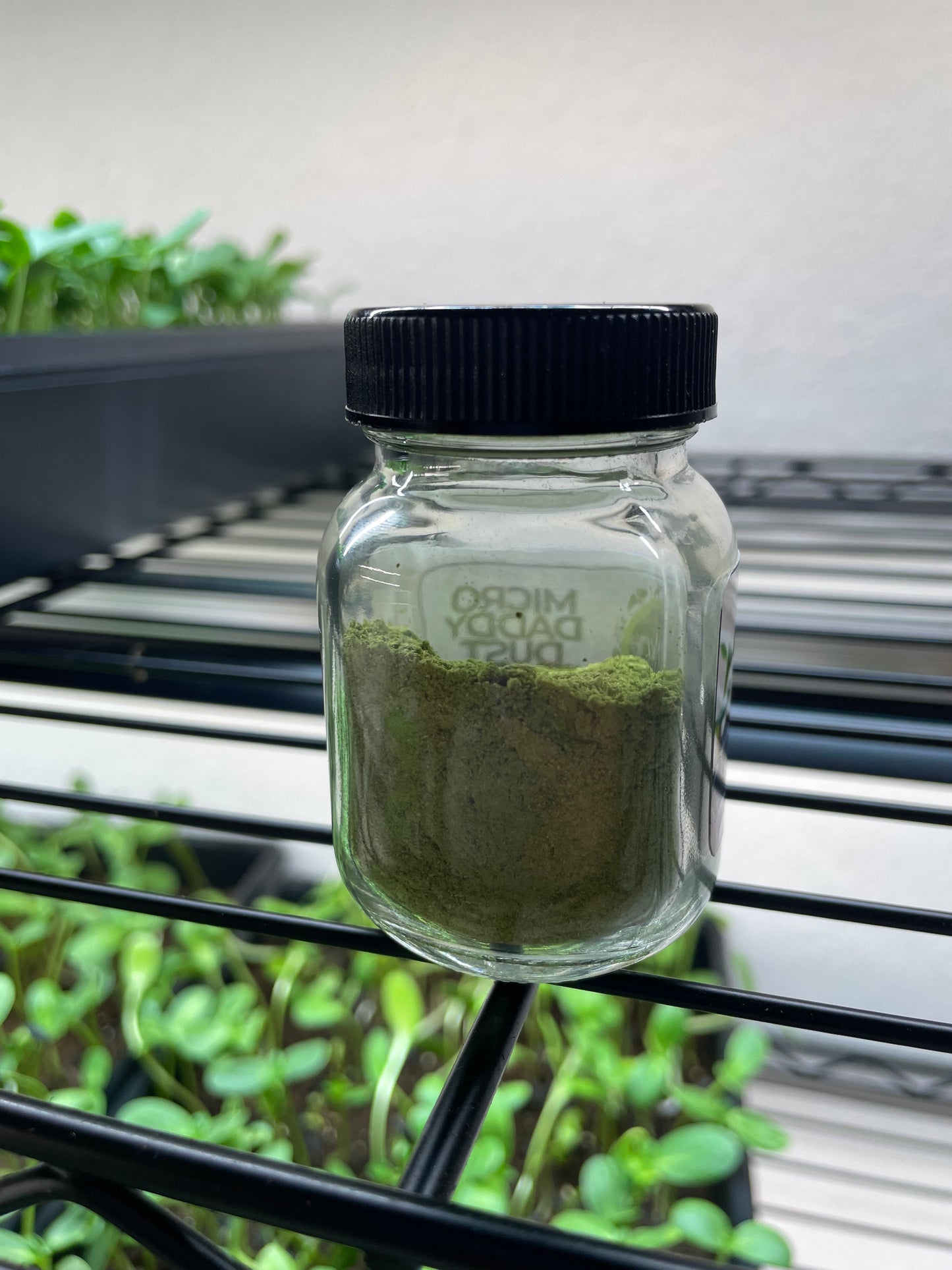 MicroDaddy Dust (10g)