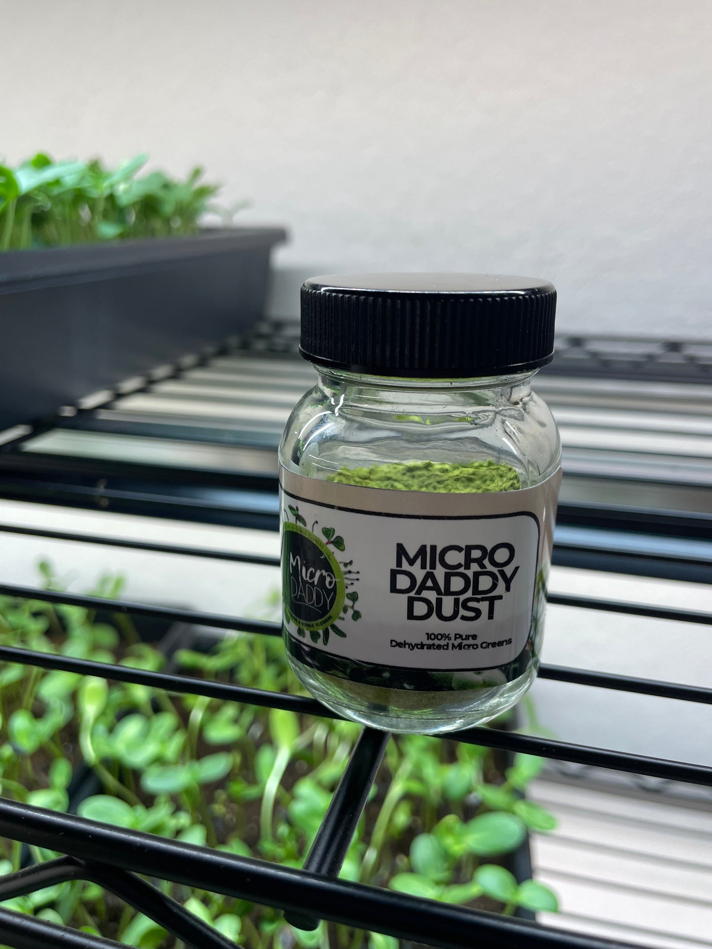 MicroDaddy Dust (10g)