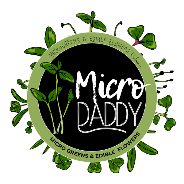MicroDaddy Micro Greens
